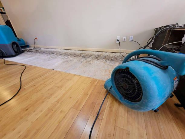Professional Water Damage Repair technician working in Brian Head, UT